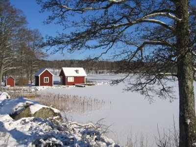 frohe weihnachten und ein gesundes neues jahr 2025