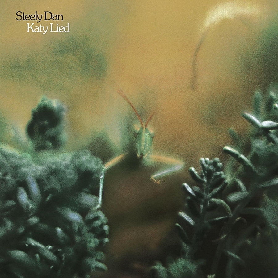 steely dan - katy lied (hybrid sacd)